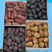 Untitled design (63)